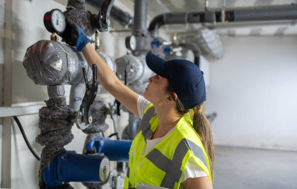 Best Local Plumber Services  in Perrysburg, OH